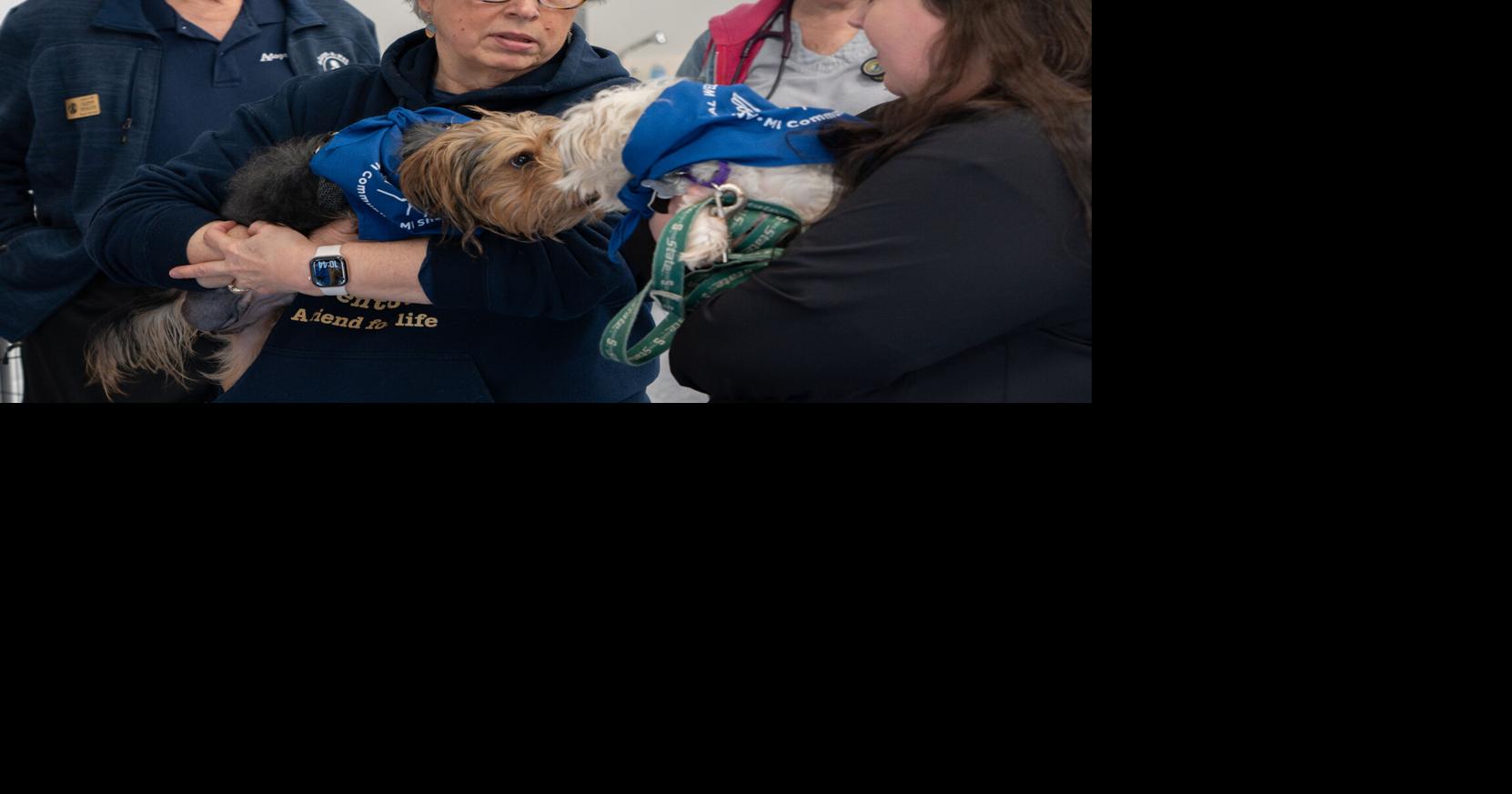 U.P. animal shelters get over $20,000 from optional state tax return donations