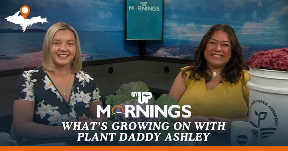 What's Growing On with Plant Daddy Ashley: Fall in love with these ...