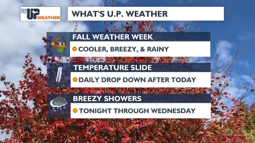 Savor today's warmth, breezy rain tonight, daily temp drops this week ...