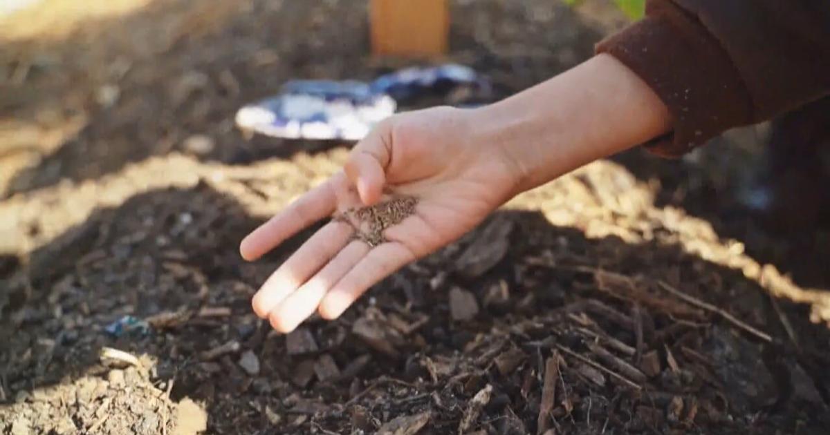 Organizations explore food waste solutions in the Copper Country