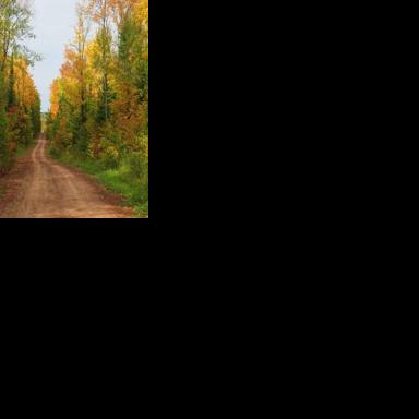 Pioneer Trail closed until further notice