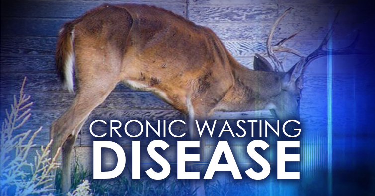 CWD legislation moving forward | Local News | myupnow.com