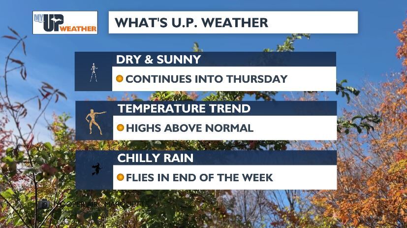 Wrap yourself in the warm sun streak before cool rain ends the week ...