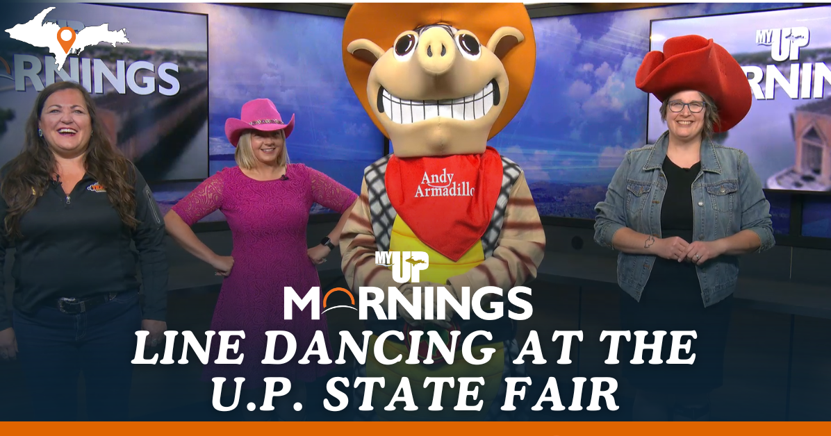 Line dance with Andy Armadillo at the U.P. State Fair