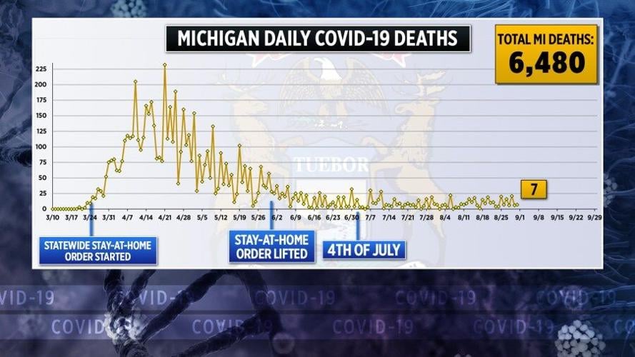 451 more coronavirus cases, 7 more deaths in Michigan | Health news