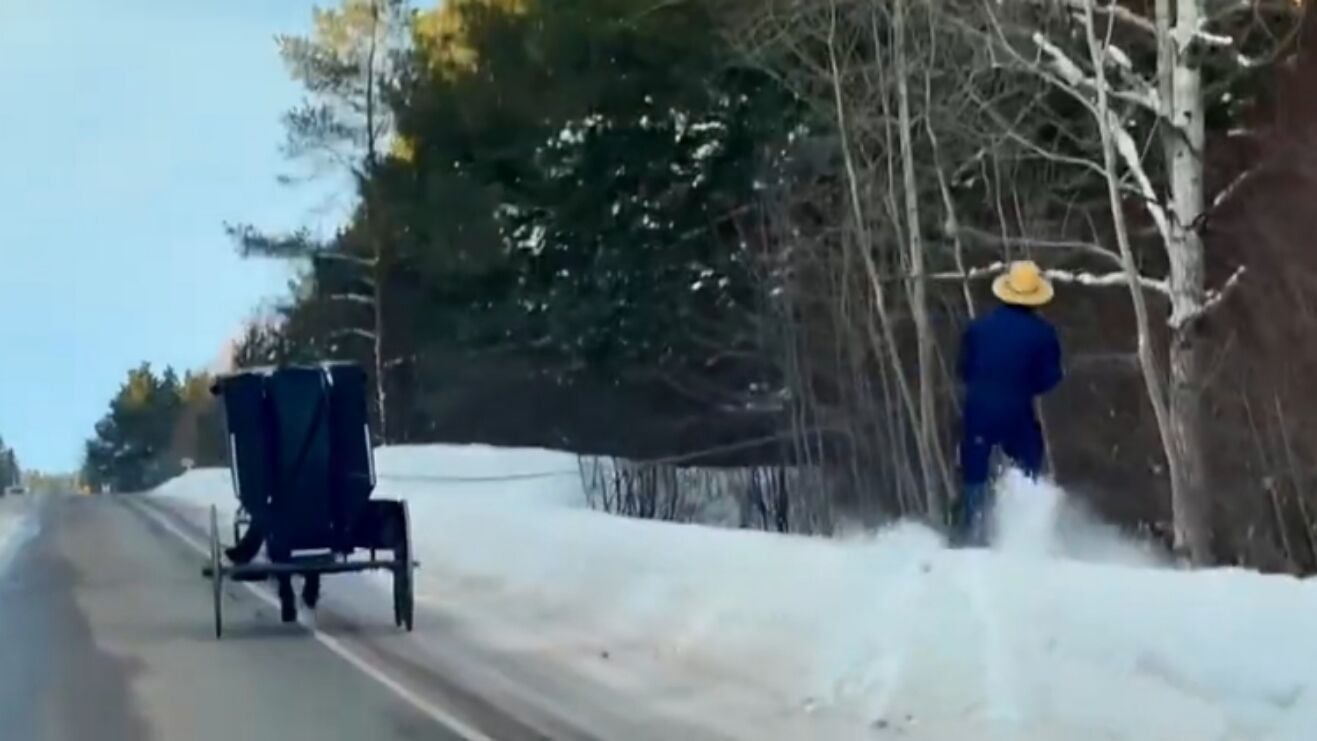 Amish man seen skiing behind horse and buggy in Michigans Upper Peninsula  | News | myupnow.com