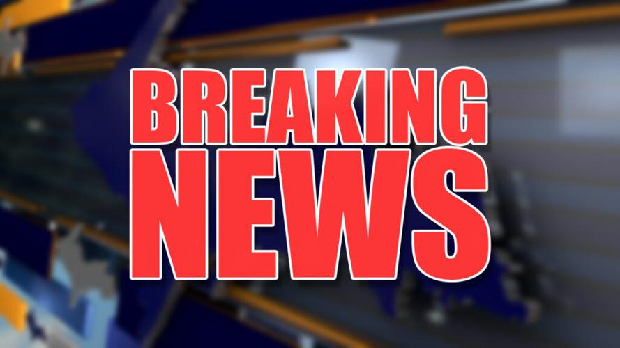 UPDATE: Former shelter dog found child lying in a ditch | Local News ...