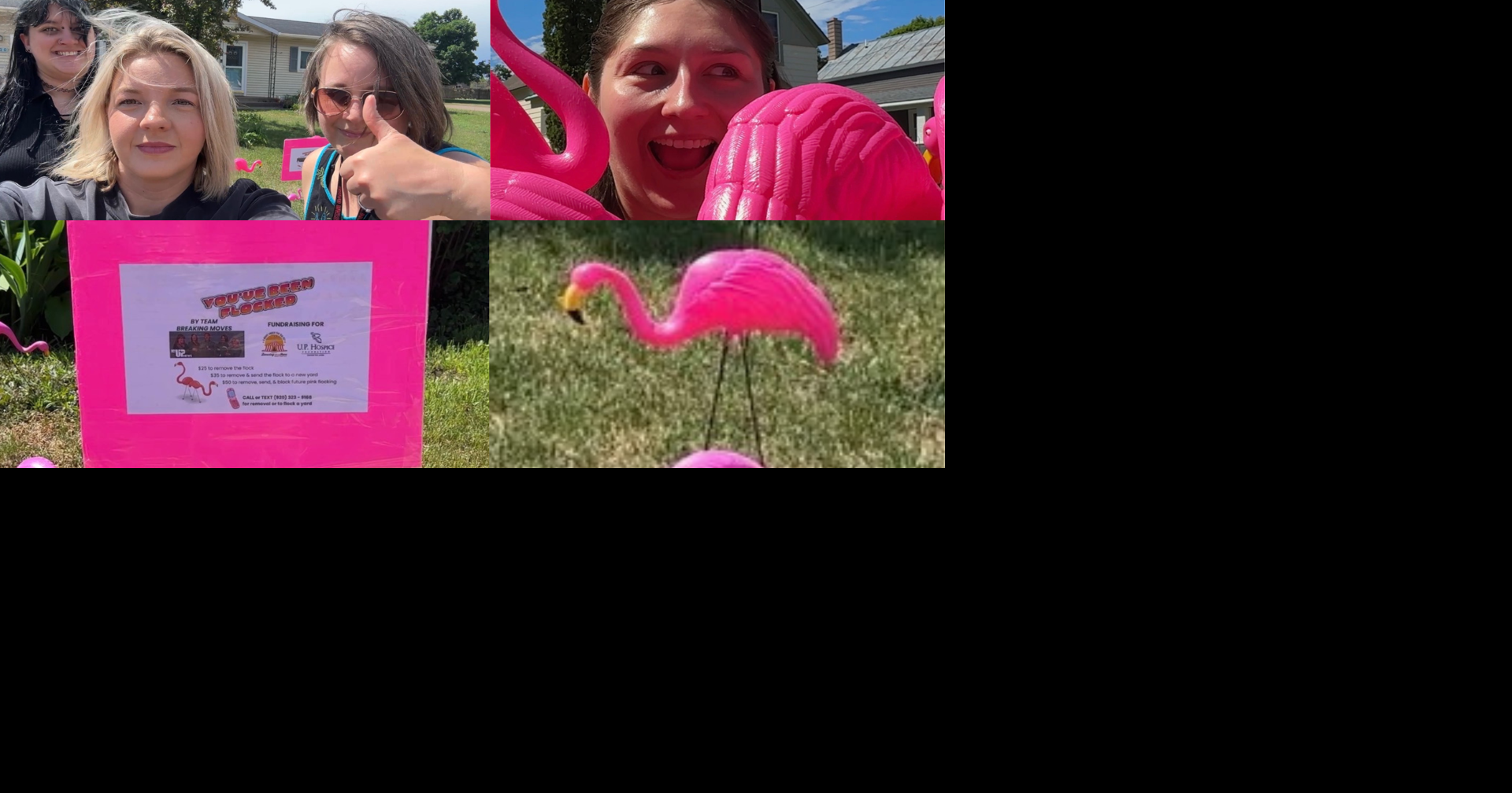 Don't fear the flock: DWOS Team Breaking Moves launches flamingo flock fundraiser