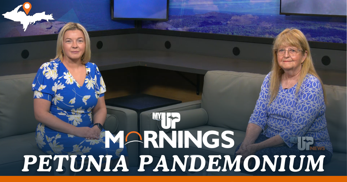 Help beautify Marquette at Petunia Pandemonium