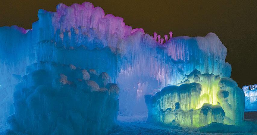 Arts calendar, January 7-25