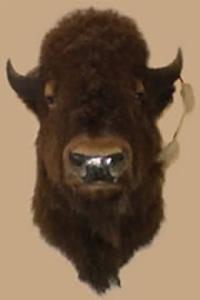 Buffalo's Shipping Post