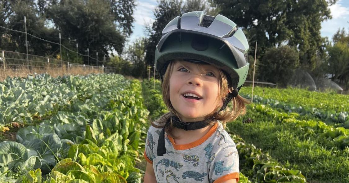 Napa Farmers Market: Pages from a Farmer: The process of making a meal