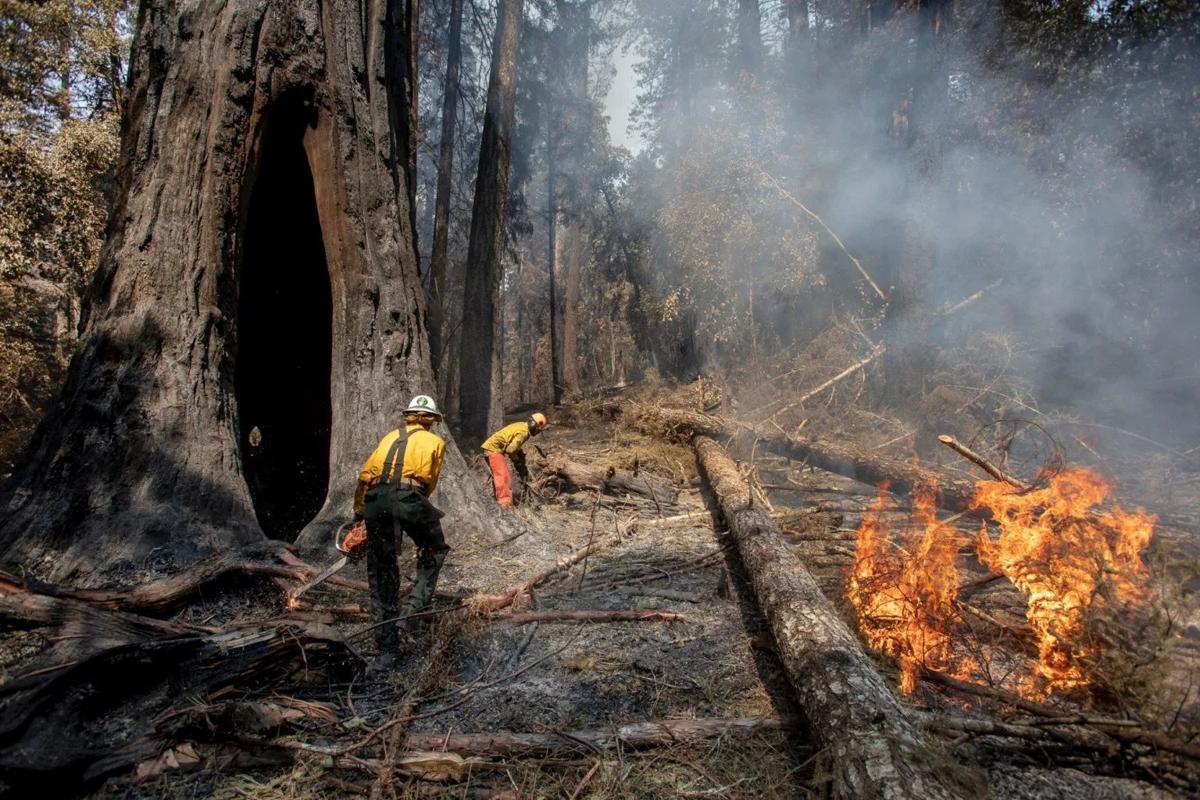 UC Berkeley team holding survey on wildfire evacuations