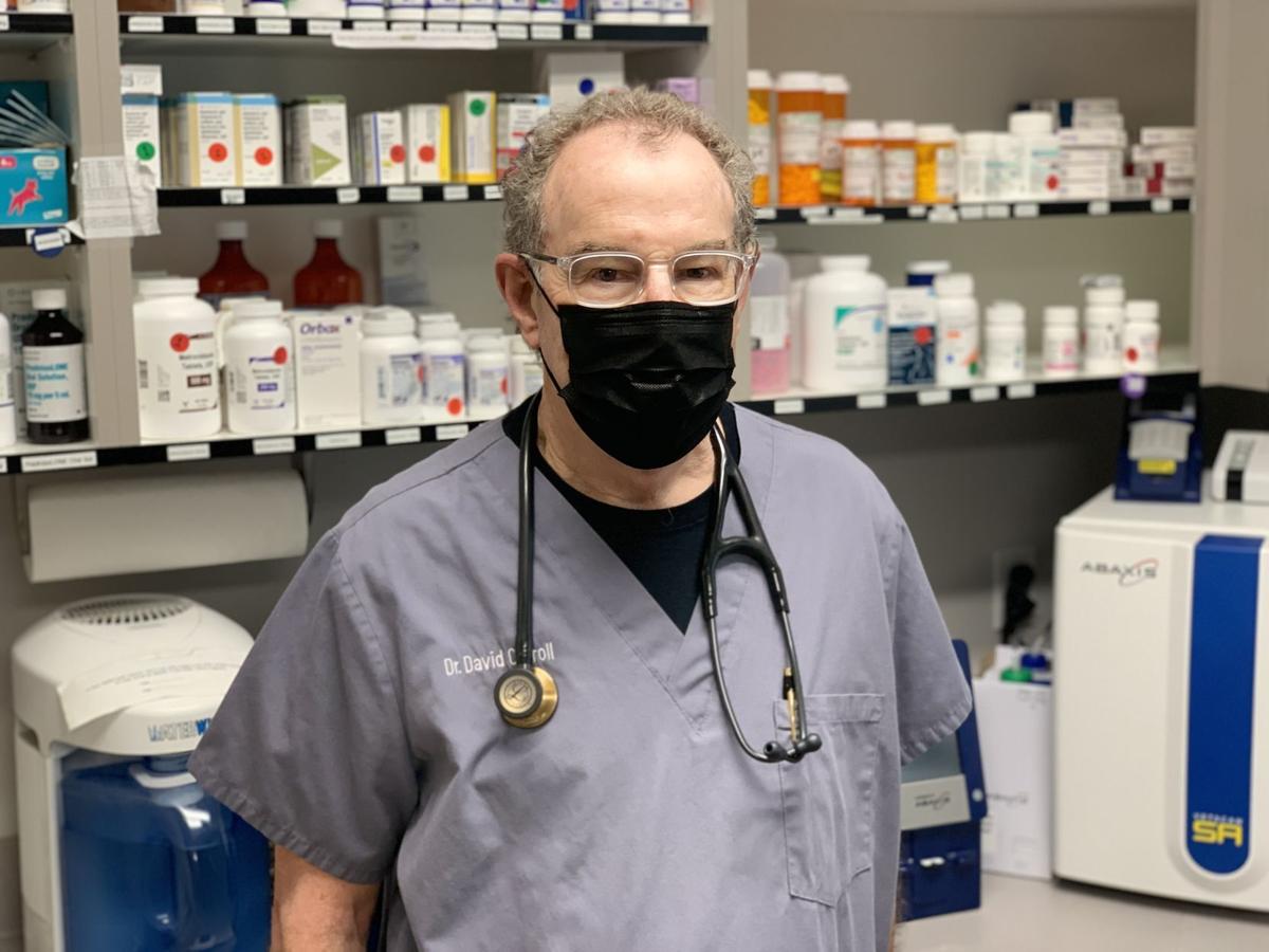 Dr. David Carroll at Napa West Pet Hospital.