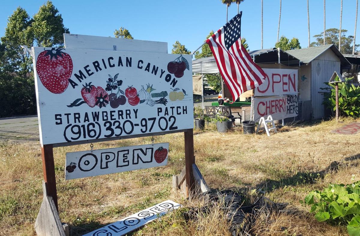 Strawberry patch American Canyon