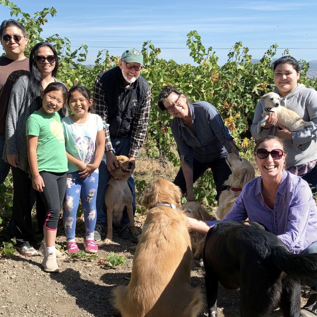 Ambassador Dogs Of Napa Valley Wineries Lifestyles Napavalleyregister Com