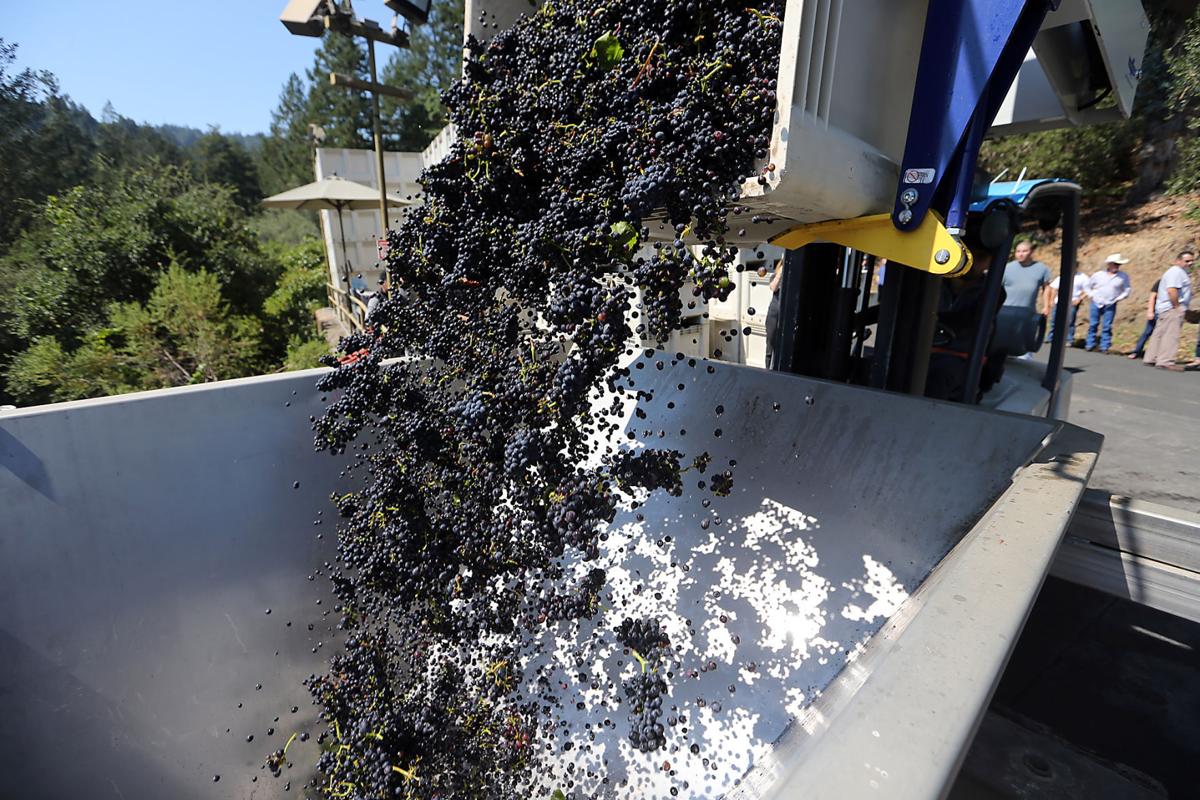 Schramsberg Crush using 2020