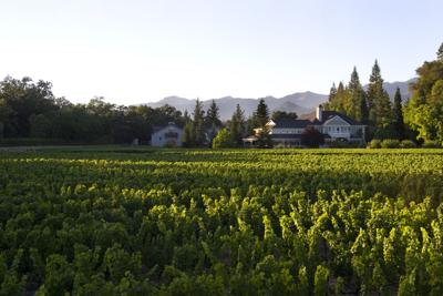 Duckhorn Wine Company (copy)