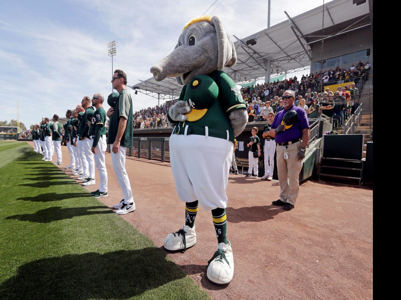 Baseball Mascots Wonder Why They Re Banned From Mlb Sports