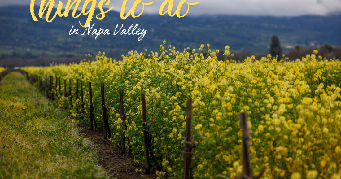 Community calendar: Things to do in Napa Valley - Vimarsana News