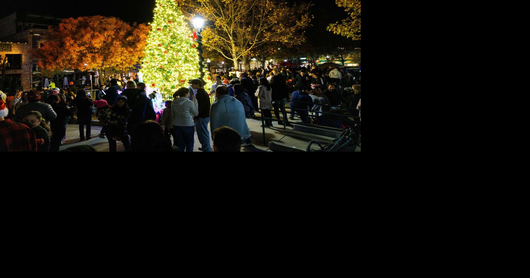 Napa tree lighting gets holidays off to a shining start
