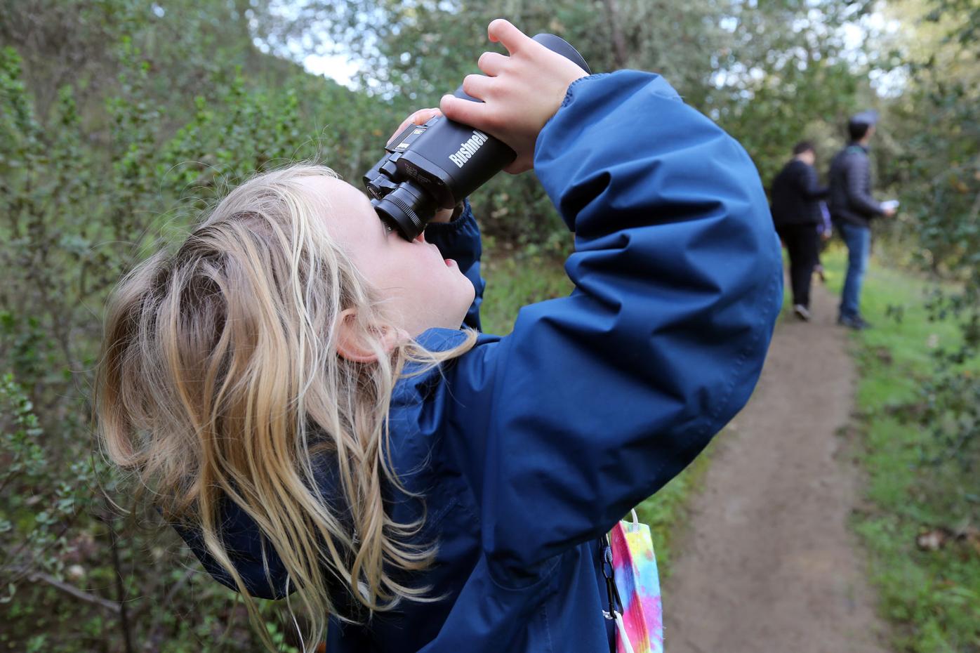 Master Gardeners: Flowers for a winter garden | Home & Gardening |  napavalleyregister.com