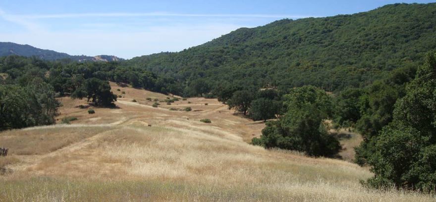 Walt Ranch