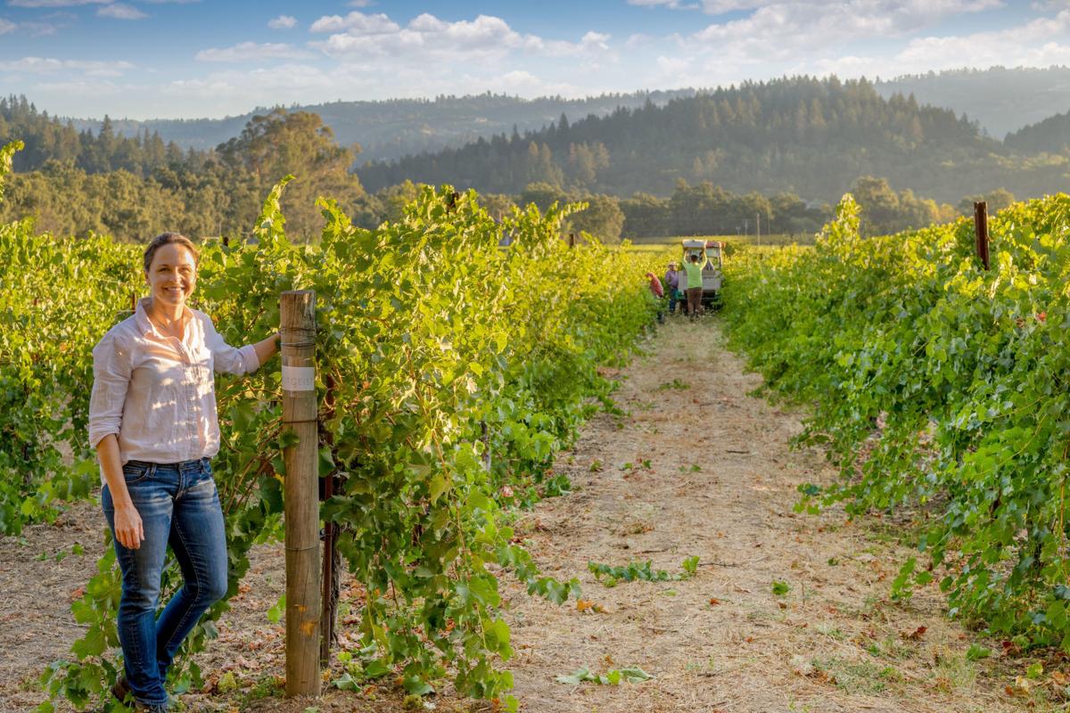 Local Tastes Zeitgeist Cellar Expresses The Spirit Of The Times Lifestyles Napavalleyregister Com