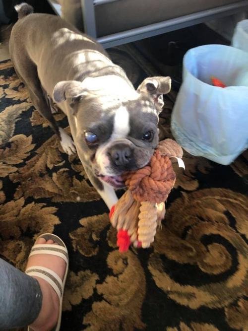 Leroy