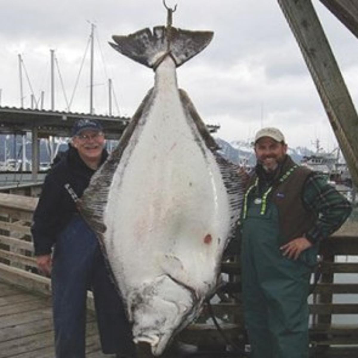 Download Why Fish In Alaska For The Huge Halibut Guy Carl Desktop Wallpaper Wallpaper Why Fish In Alaska For The Huge Halibut Guy Carl For iPhone Free