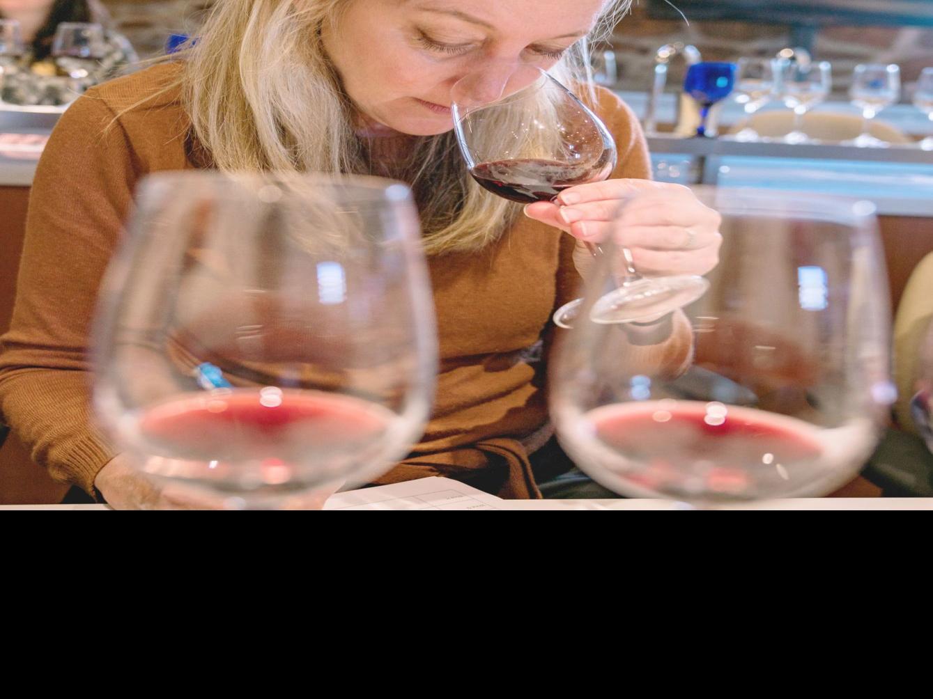 Wine Of The Week Silver Trident Winery 2017 Apollo S Folly Rose Of Pinot Noir Mendocino 32 Catherine Bugue Wine Of The Week Napavalleyregister Com