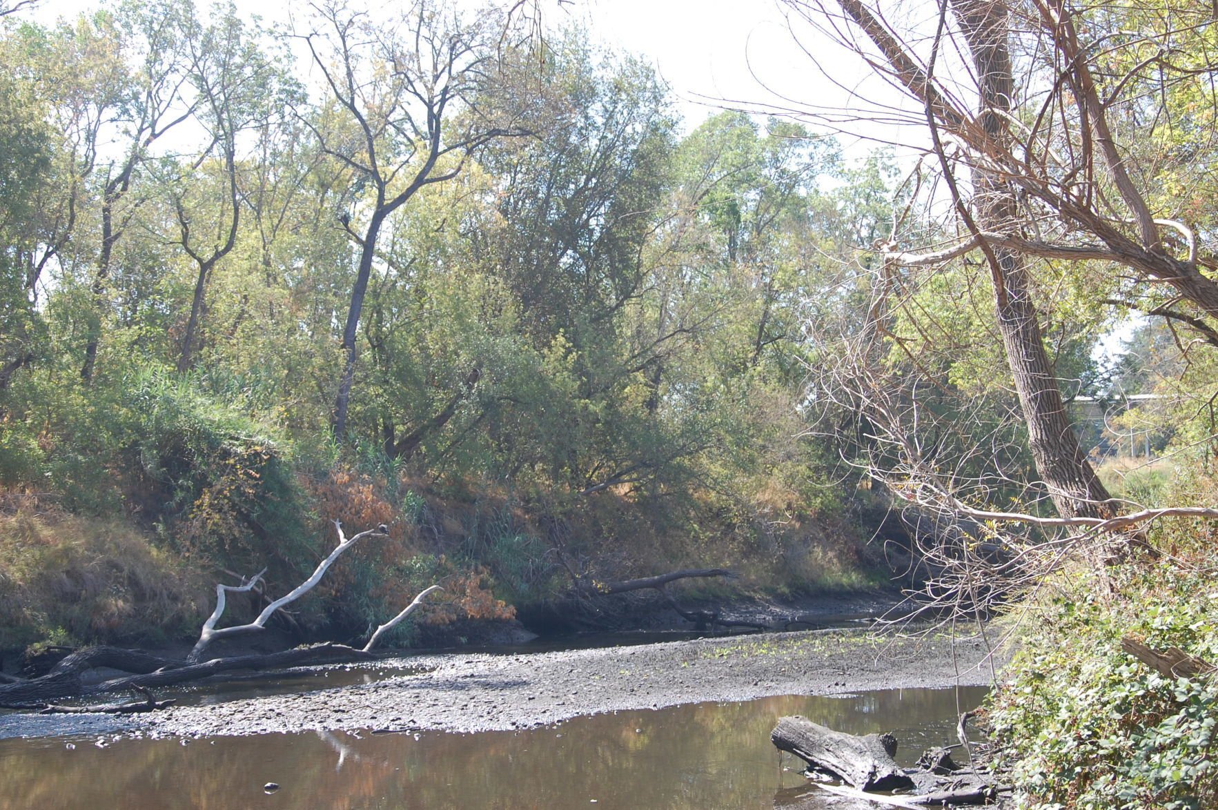 Why is the Napa River so dry, panel asks?