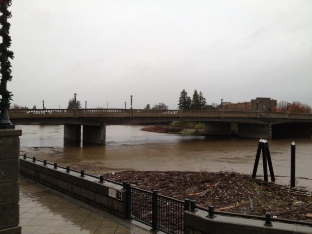 Downed trees, power lines remain, but flooding projections downgraded