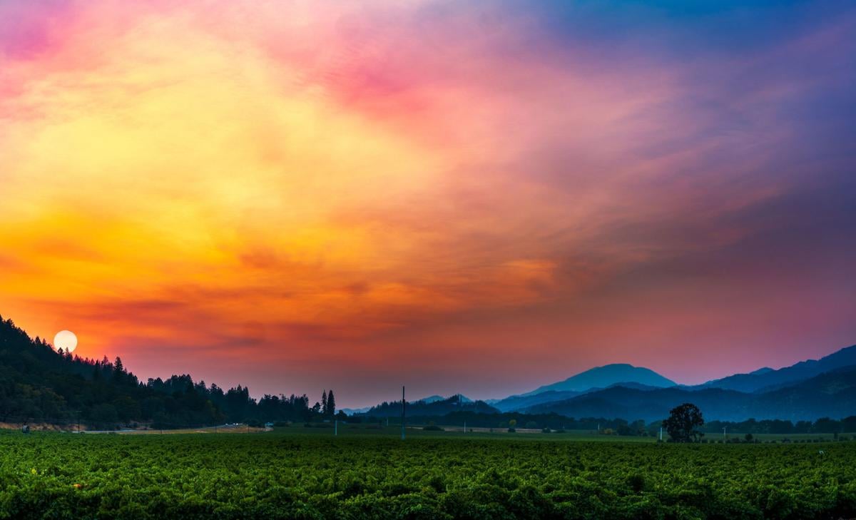 Napa Valley