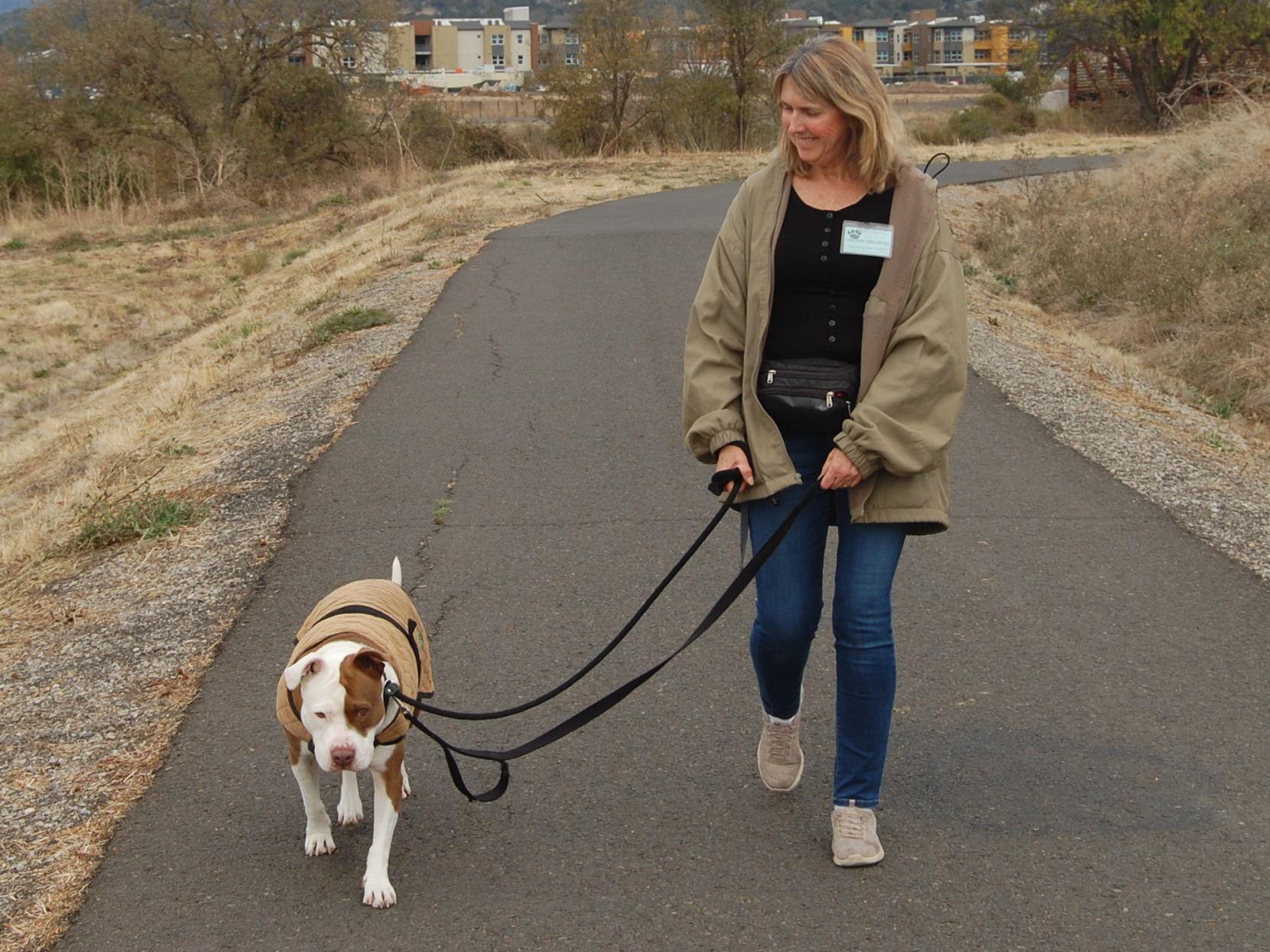 barry county animal shelter volunteer