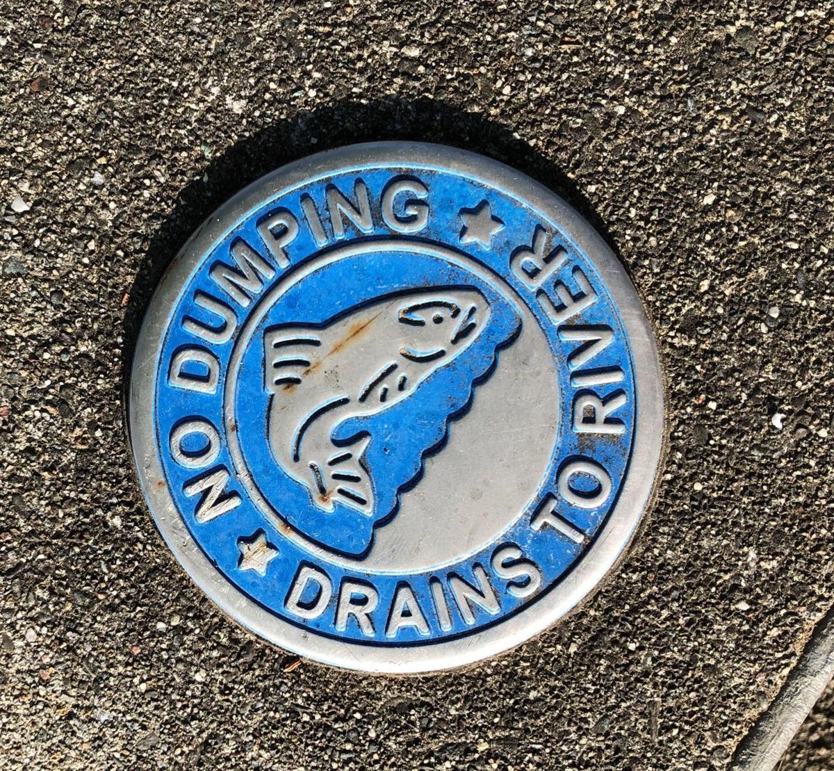 No Dumping medallion
