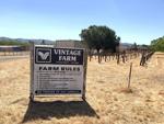 Napa's Vintage Farm