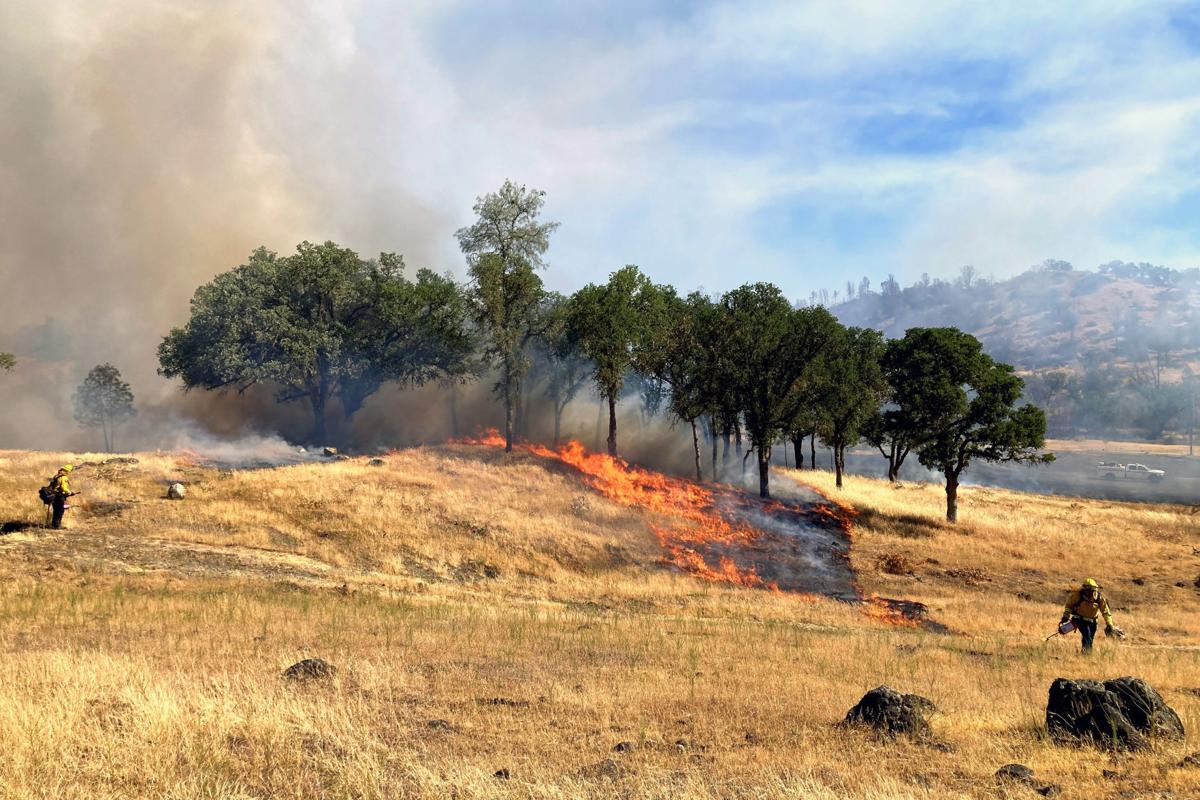 Land Trust prescribed burn