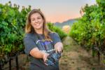 Napa Valley grape harvest 2019