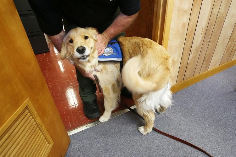 Comfort dog offers help, hope and love