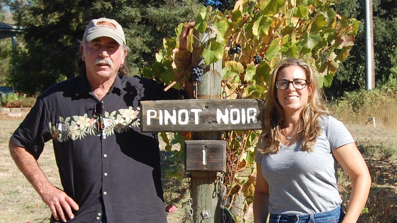 Save the Family Farms makes wine-tasting pitch to Napa County - Vimarsana News