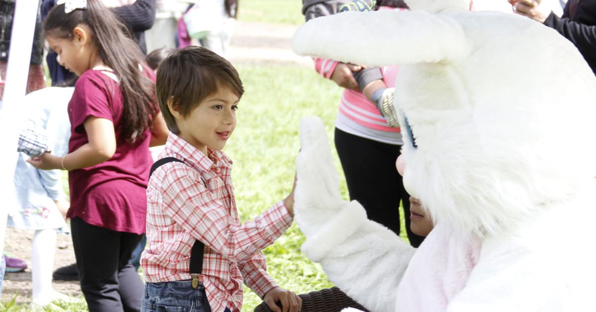 Children score big at Napa Easter egg hunt