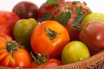 Master Gardeners: Tomato talk