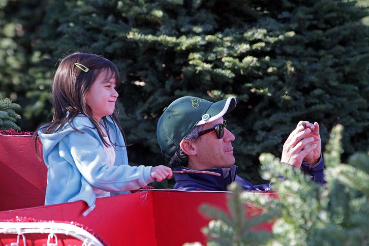 Napa families start decking their halls at Christmas tree lots