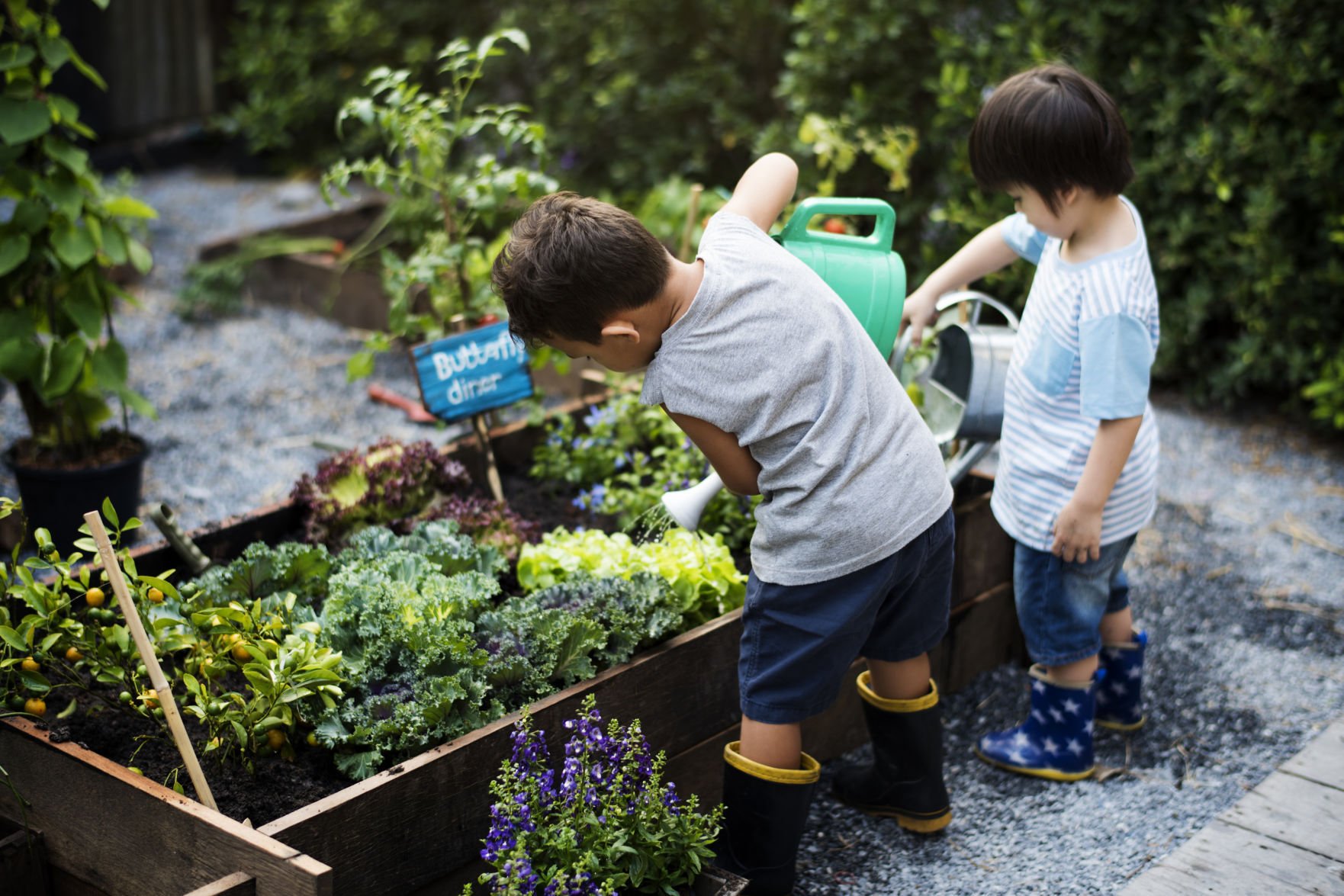 How Gardening Can Help Build Healthier, Happier Kids | Home And Garden ...