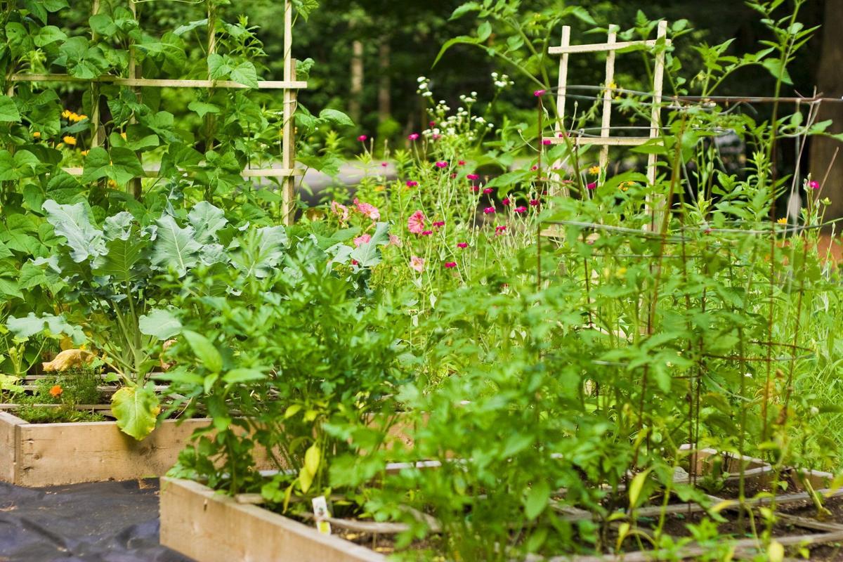 Square feet of gardening 3