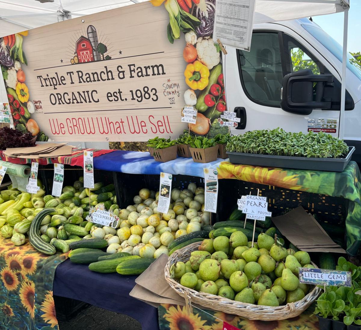 Organic Little Gems, 1 lb, Route 1 Farms