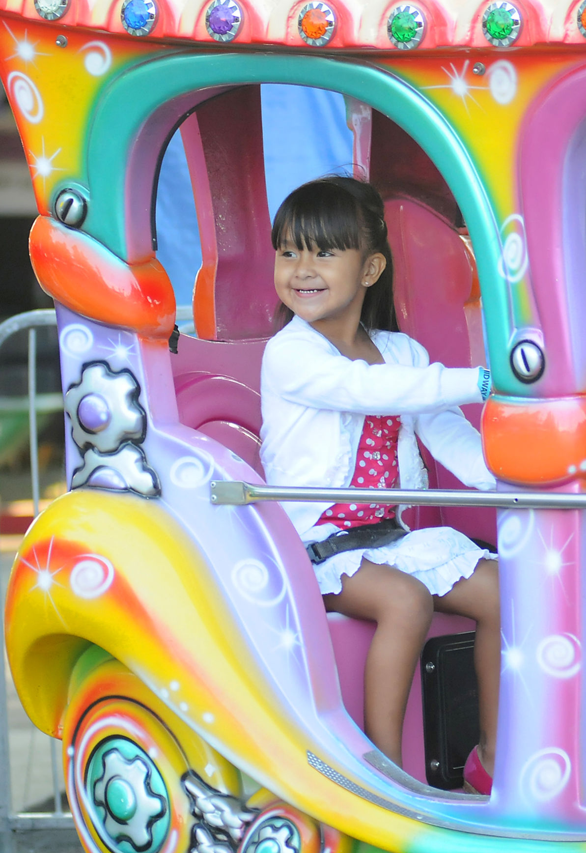 GALLERY Napa Town & Country Fair 2013