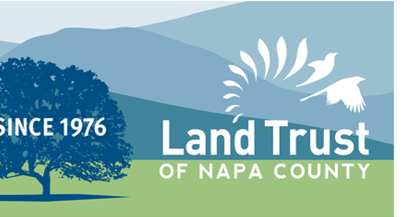 Napa Valley vineyard land near city of Napa preserved - Vimarsana News