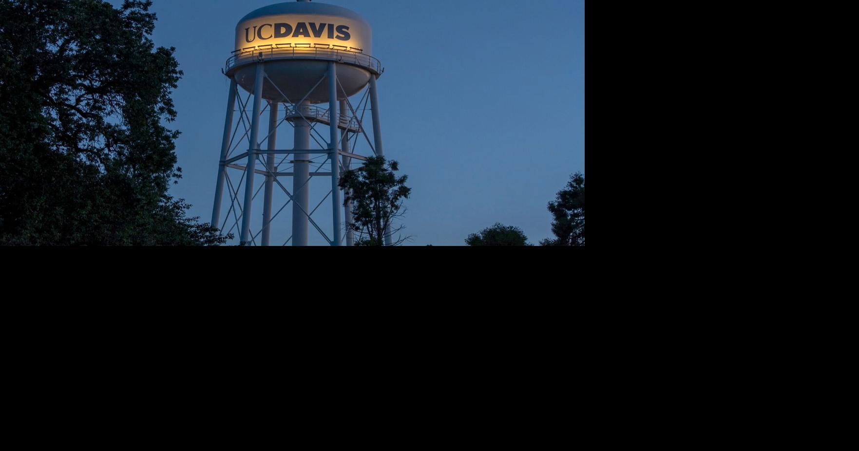 Davis stabbings are likely the work of a local serial killer, experts say